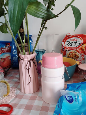 焖烧杯