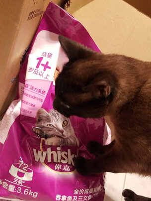 猫粮