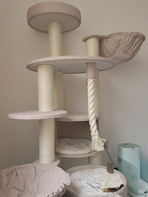 猫爬架