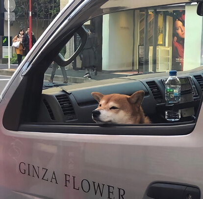 汽车香水
