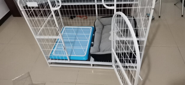  狗笼