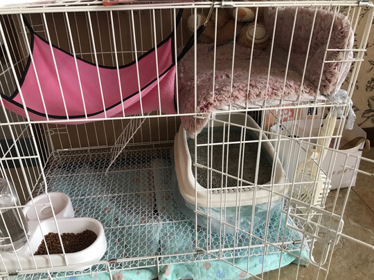  猫笼