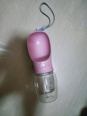 宠物水壶