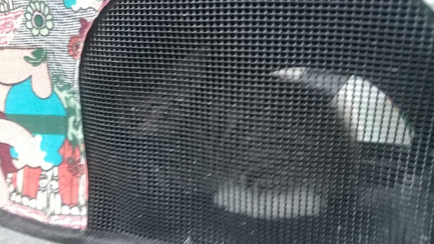 猫笼