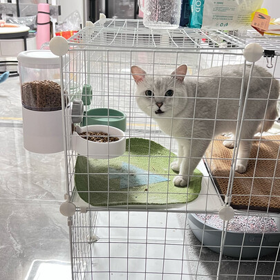 宠物水壶