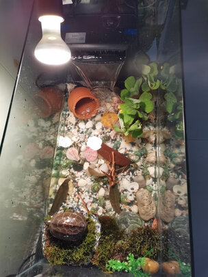 鱼缸加热棒