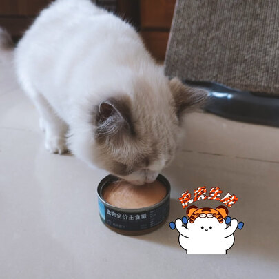 猫粮罐头