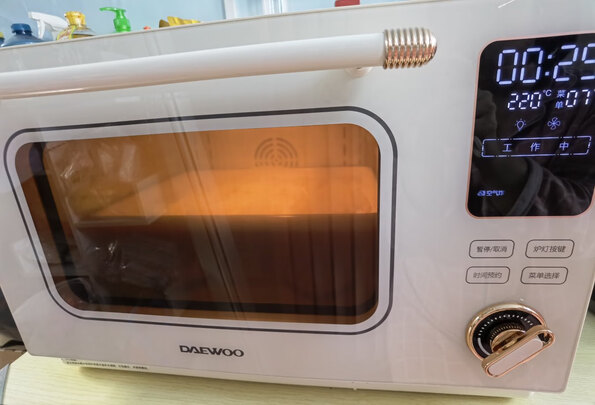 大宇K9蒸烤箱|大宇K9蒸烤箱怎么样评测分析结果告知！