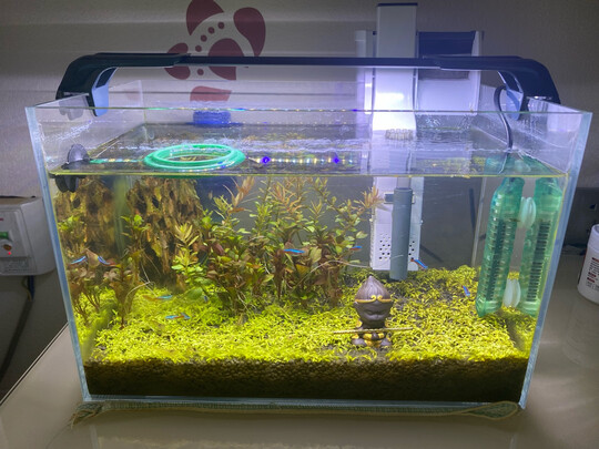 鱼缸水泵
