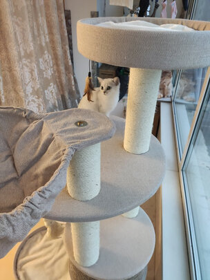猫爬架