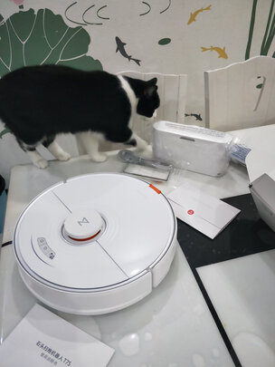 讲一讲石头扫地机器人T7S怎么样?上手一周后悔了是吗