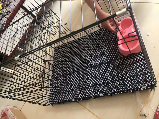 猫笼