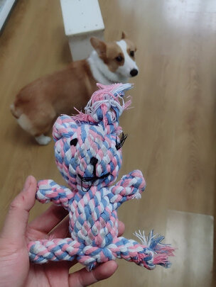 狗狗玩具
