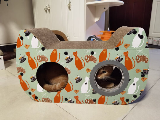 猫窝