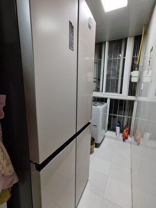 容声BCD-451WD11FP一个月后开始后悔了诉说原因