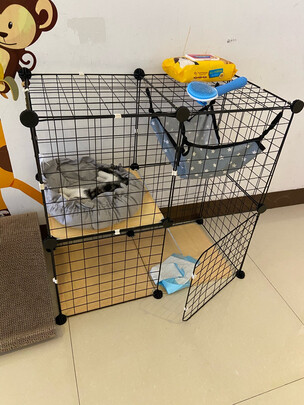  猫笼
