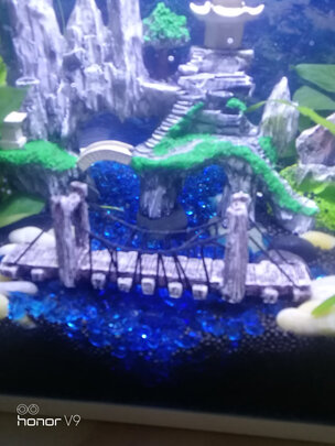 水草泥