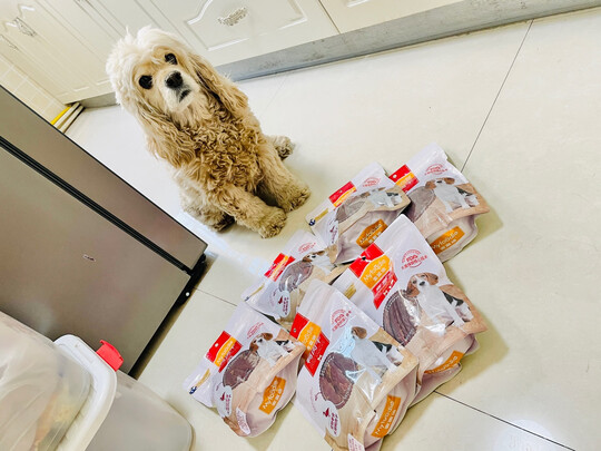 狗狗零食