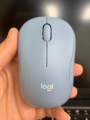 罗技（Logitech）M221 轻音鼠标 无线鼠标 办公鼠标 对称鼠标 带无线微型接收器 雾霭蓝