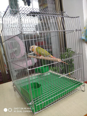 鸟笼