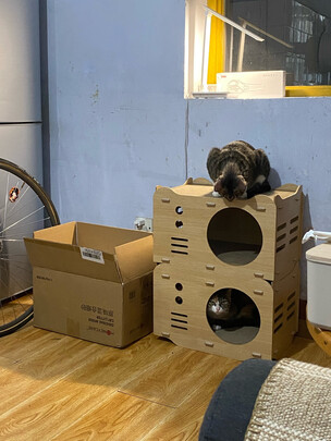 猫抓板
