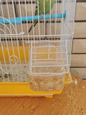 鸟粮