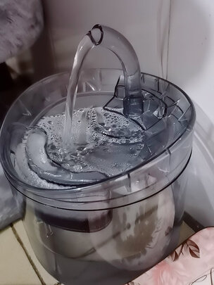 宠物饮水机