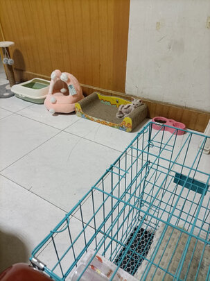  猫笼