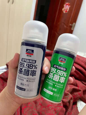 车内异味去除剂