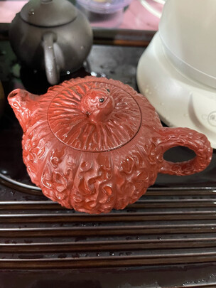 吉羊大红袍金蟾西施极度喜欢感受反馈