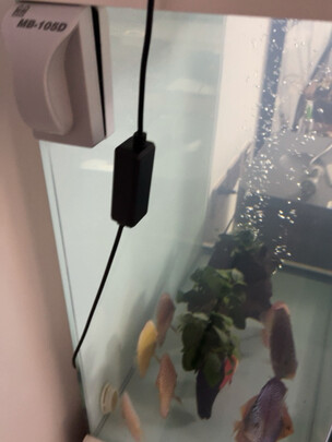 鱼缸刷磁力刷