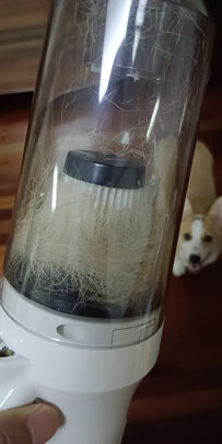 狗毛猫毛清理器