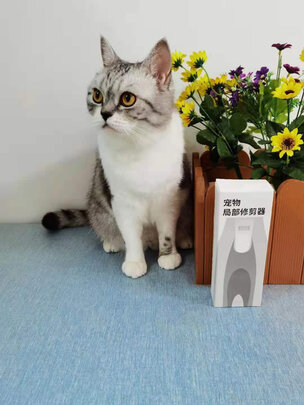 狗狗电推剪
