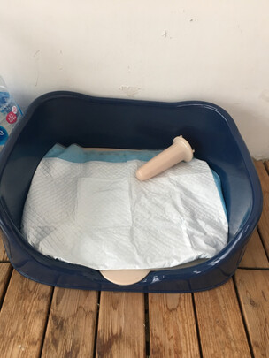 狗厕所