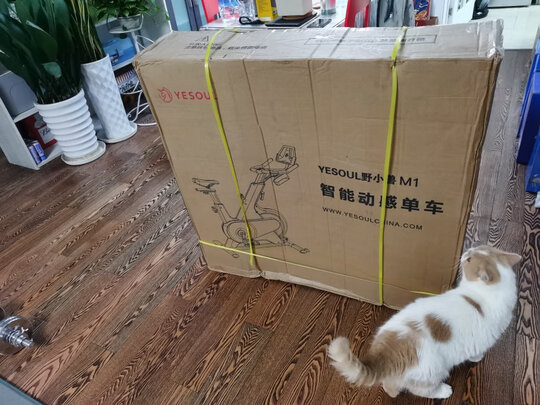动感单车