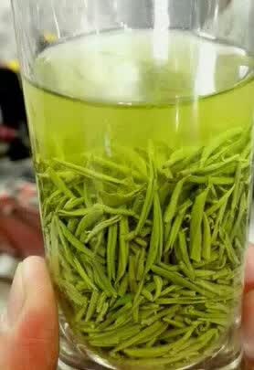 三,五云村信阳毛尖茶网友对比评测