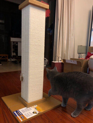 猫爬架