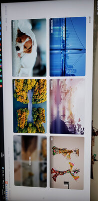 飞利浦278E1一个月后开始后悔了诉说原因