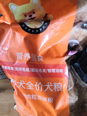 狗粮