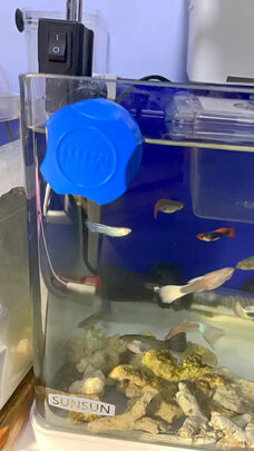 鱼缸刷磁力刷