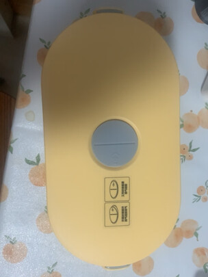 电热饭盒