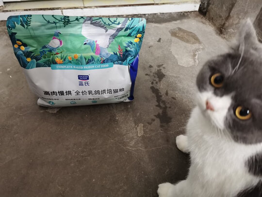 猫粮