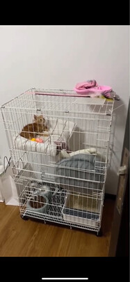  猫笼