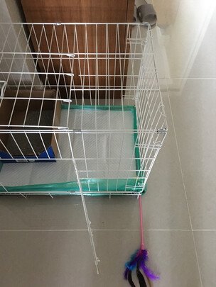  猫笼