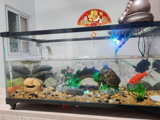 鱼缸温度计