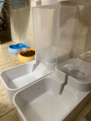 宠物自动喂食器