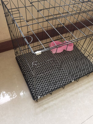  狗笼