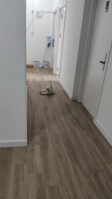 猫冻干