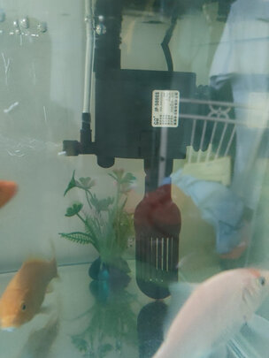 鱼缸水泵