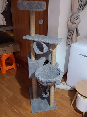 猫爬架